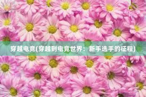 穿越电竞(穿越到电竞世界：新手选手的征程)