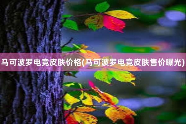 马可波罗电竞皮肤价格(马可波罗电竞皮肤售价曝光)