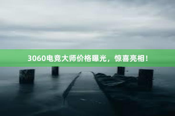 3060电竞大师价格曝光，惊喜亮相！